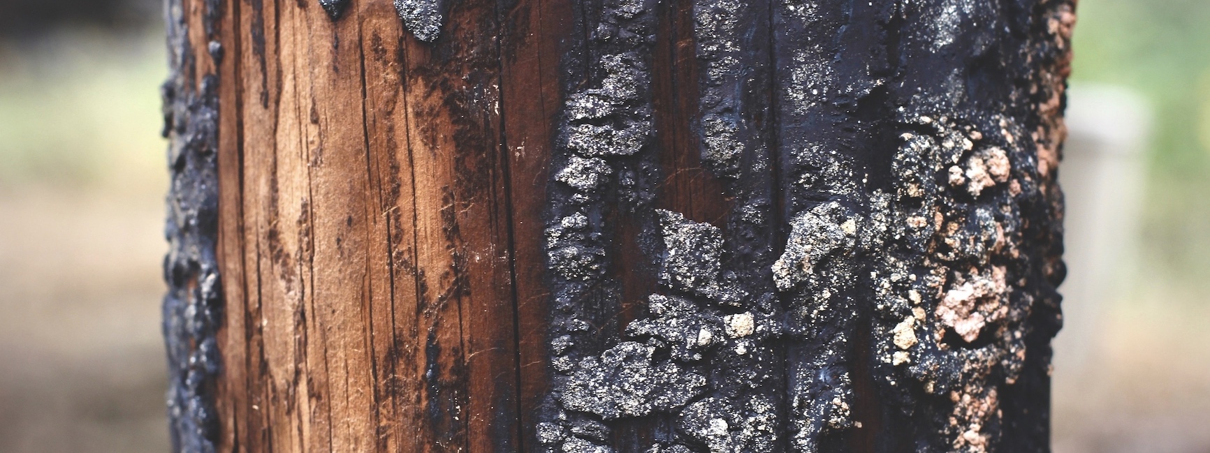 Kayla Gibson on Unsplash